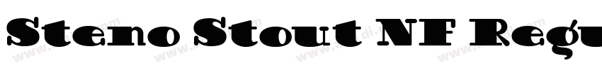 Steno Stout NF Regul字体转换